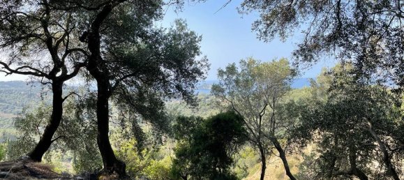 12000m² Hotel in Corfu, Greece No. 2795 2