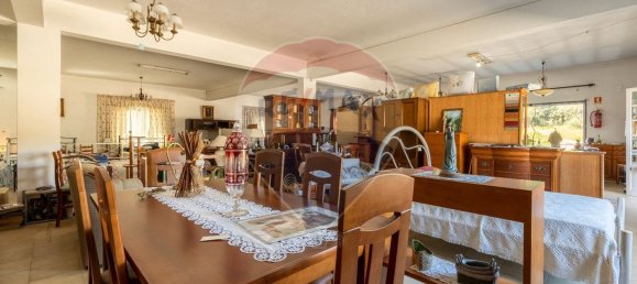 Gebäude in Aguas Belas, Portugal 351m², Nr. 67858 6