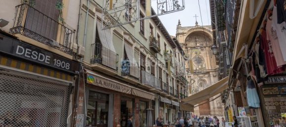 4 غرف نوم بانتهاوس في Granada, Spain رقم 19176 41