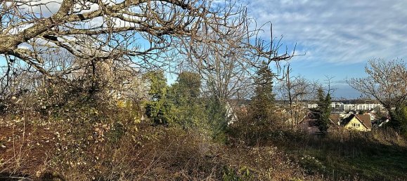  قطعة أرض في Soultz-Haut-Rhin, France رقم 46239 2