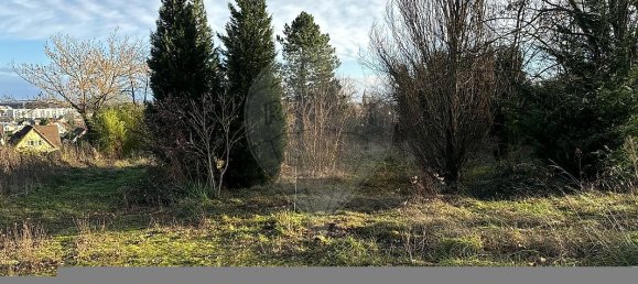  قطعة أرض في Soultz-Haut-Rhin, France رقم 46239 3