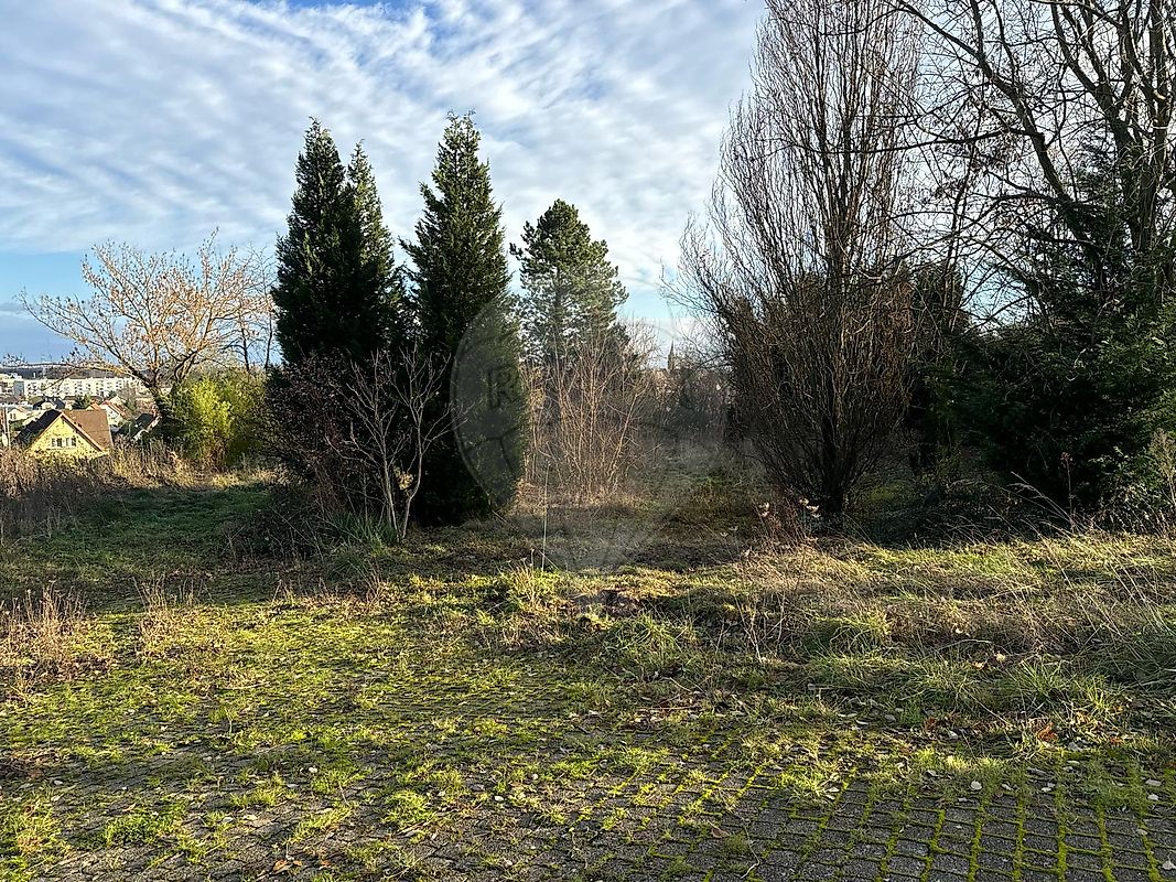  قطعة أرض في Soultz-Haut-Rhin, France رقم 46239