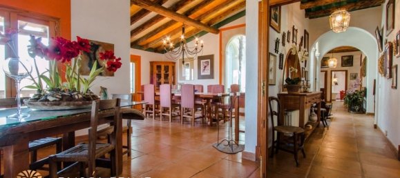 5 bedrooms Finca in Esporles, Spain No. 274 20