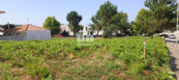 Terreno en Esposende, Portugal 380 m² No. 217895 21