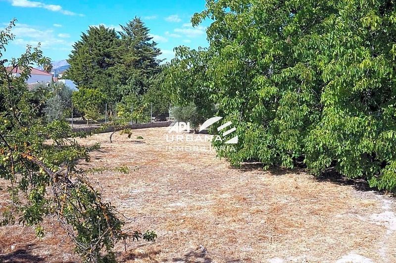 6 bedrooms House in Cordoba, Spain No. 220693