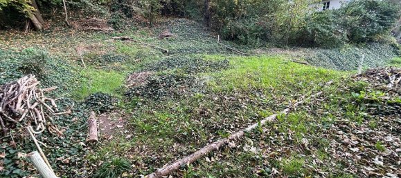 1358m² Land in Vaux-sur-Seine, France No. 173862 3