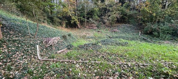 1358m² Land in Vaux-sur-Seine, France No. 173862 5