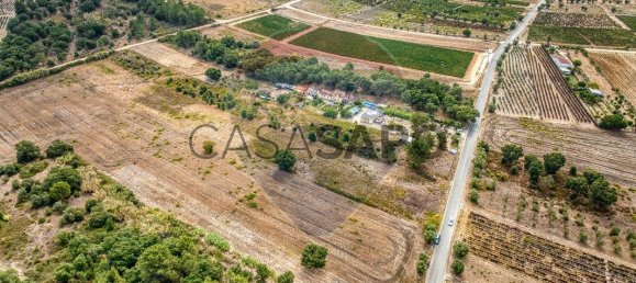  Land in Vila Cha de Ourique, Portugal No. 329919 4