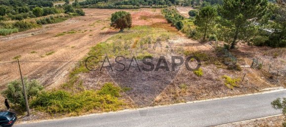  Land in Vila Cha de Ourique, Portugal No. 329919 5