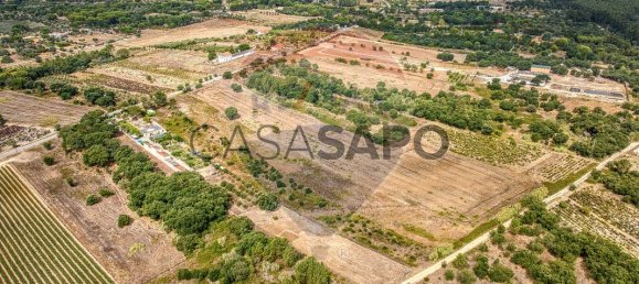  Land in Vila Cha de Ourique, Portugal No. 329919 2
