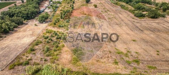  Land in Vila Cha de Ourique, Portugal No. 329919 6