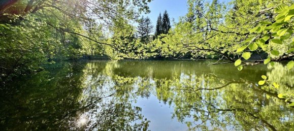 14-Zimmer Haus in Wienerwald, Austria, Nr. 217890 4