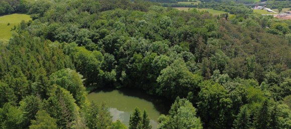 14-Zimmer Haus in Wienerwald, Austria, Nr. 217890 3