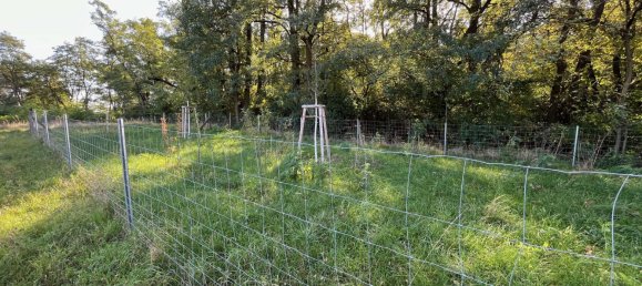 Grundstück in Dahme-Spreewald, Germany, Nr. 274478 13