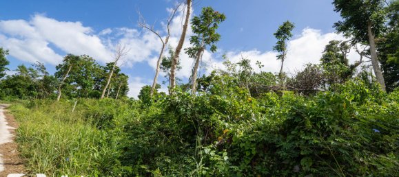 1387m² Land in Port-Vila, Vanuatu No. 121 6