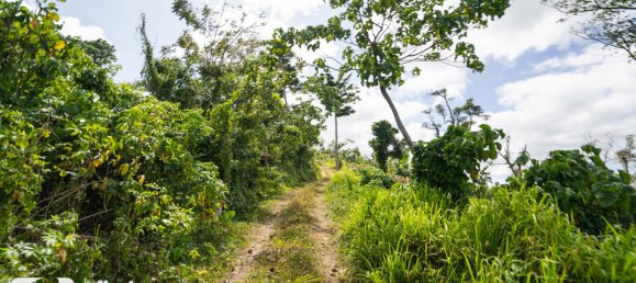 1387m² Land in Port-Vila, Vanuatu No. 121 7