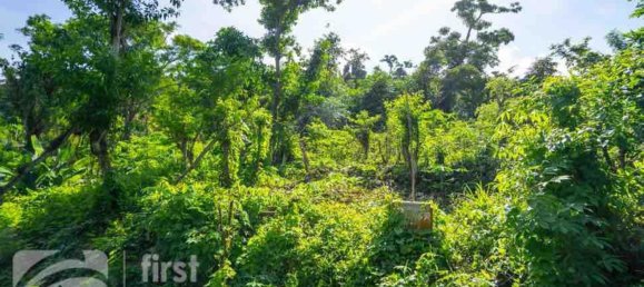 1387m² Land in Port-Vila, Vanuatu No. 121 3