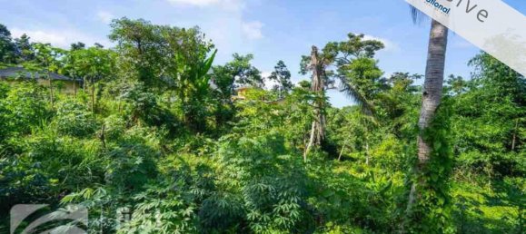 1387m² Land in Port-Vila, Vanuatu No. 121 12