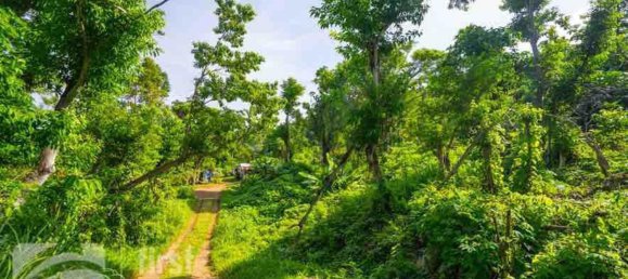 1387m² Land in Port-Vila, Vanuatu No. 121 5