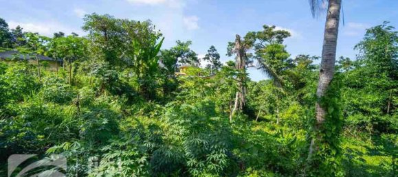 1387m² Land in Port-Vila, Vanuatu No. 121 2