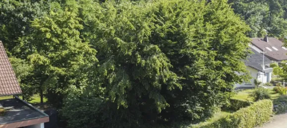 Grundstück in Hochsauerlandkreis, Germany, Nr. 331182 2