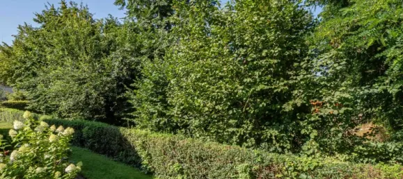 Grundstück in Hochsauerlandkreis, Germany, Nr. 331182 5