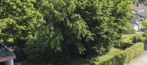 Grundstück in Hochsauerlandkreis, Germany, Nr. 331182 7