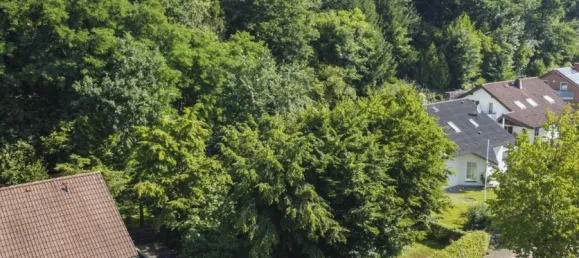 Grundstück in Hochsauerlandkreis, Germany, Nr. 331182 3