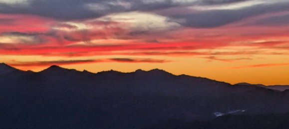 5 Schlafzimmer Haus in Oletta, France, Nr. 230490 15