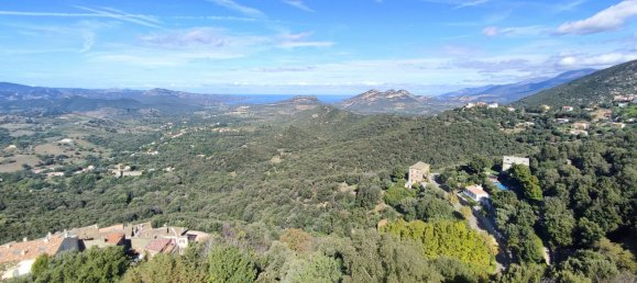5 Schlafzimmer Haus in Oletta, France, Nr. 230490 3