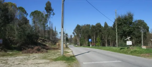 20000m² Land in Carregal do Sal, Portugal No. 49243 2