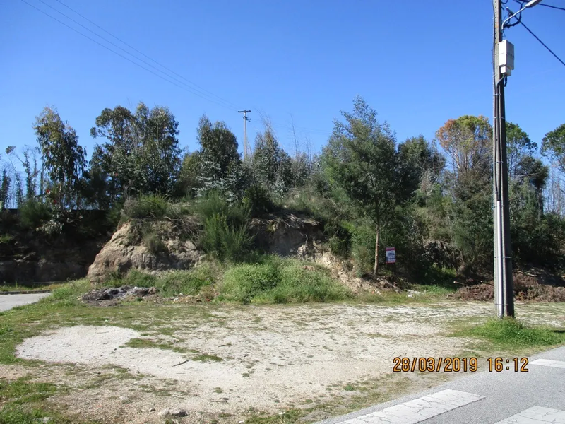 20000m² Land in Carregal do Sal, Portugal No. 49243