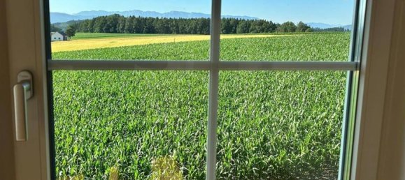 4-Zimmer Haus in Neukirchen an der Vöckla, Austria, Nr. 207744 11