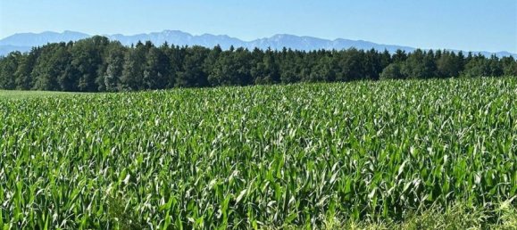 4-Zimmer Haus in Neukirchen an der Vöckla, Austria, Nr. 207744 13