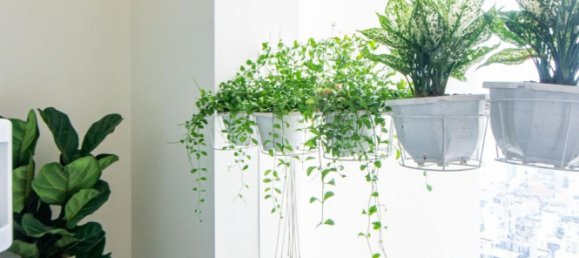 3 bedrooms Apartment in District 3, Vietnam No. 17831 30