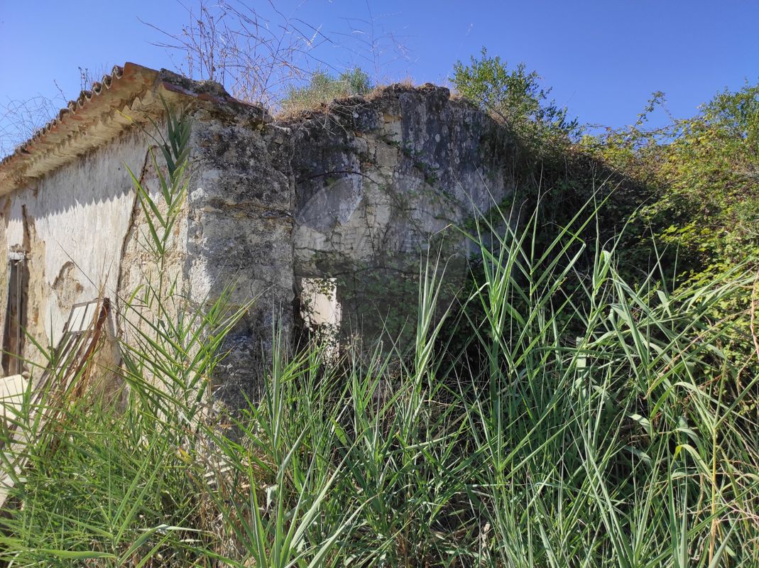 1 bedroom House in Santarem, Portugal No. 30215