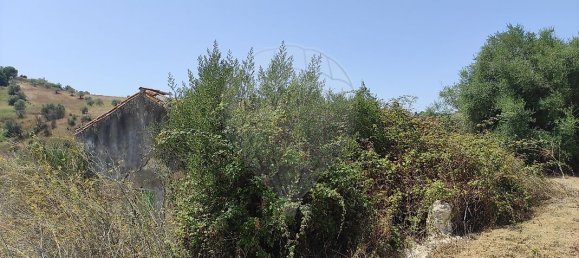 1 bedroom House in Santarem, Portugal No. 30215 5