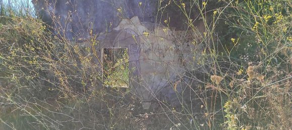 1 bedroom House in Santarem, Portugal No. 30215 4