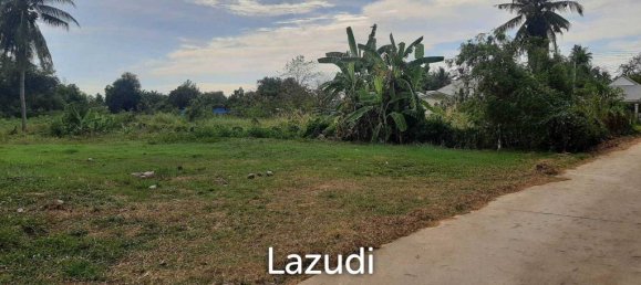 Propriété commerciale à Pattaya, Thailand 1600m² No. 15796 2