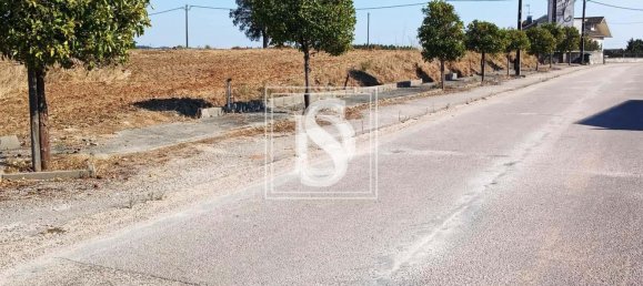 Terrain à Tomar, Portugal No. 79577 11