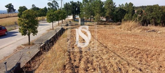 Terrain à Tomar, Portugal No. 79577 2