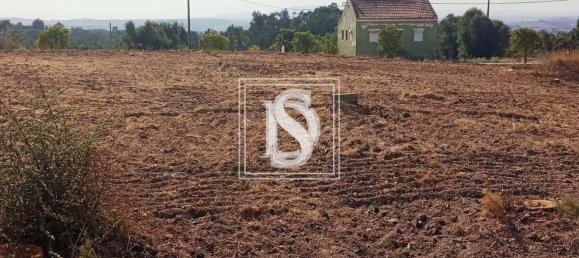 Terrain à Tomar, Portugal No. 79577 7