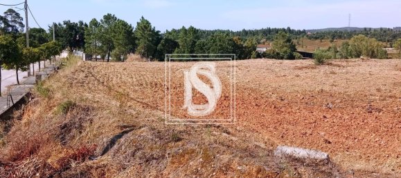 Terrain à Tomar, Portugal No. 79577 10