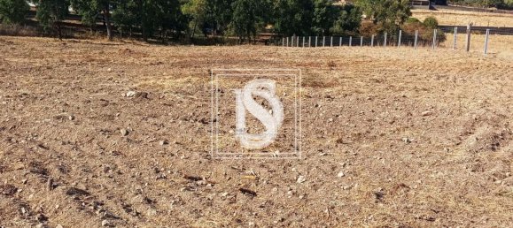 Terrain à Tomar, Portugal No. 79577 6