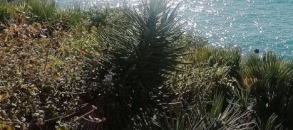 Casa T4 em Castellon, Spain N.º 130092 79