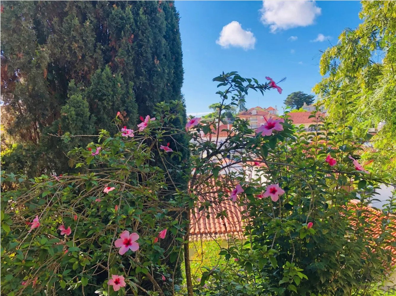 2 bedrooms Apartment in Cascais, Portugal No. 9970