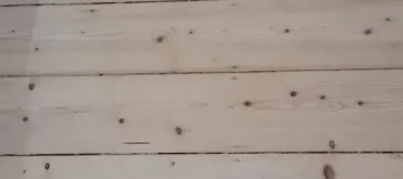 2 rooms Apartment in Rostock, Germany No. 41067 4