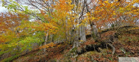 8 bedrooms House in Urbe, Italy No. 102450 15