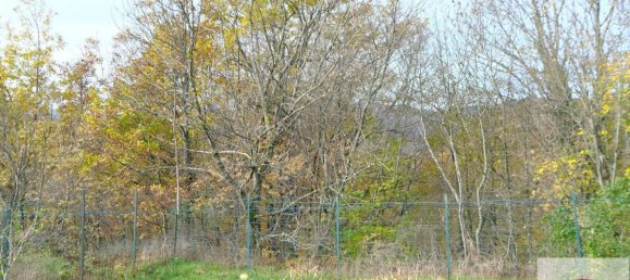 8 bedrooms House in Urbe, Italy No. 102450 10