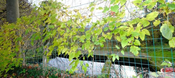 8 bedrooms House in Urbe, Italy No. 102450 11